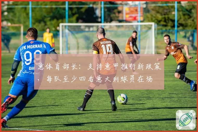 意体育部长：支持意甲推行新政策，每队至少四名意大利球员在场