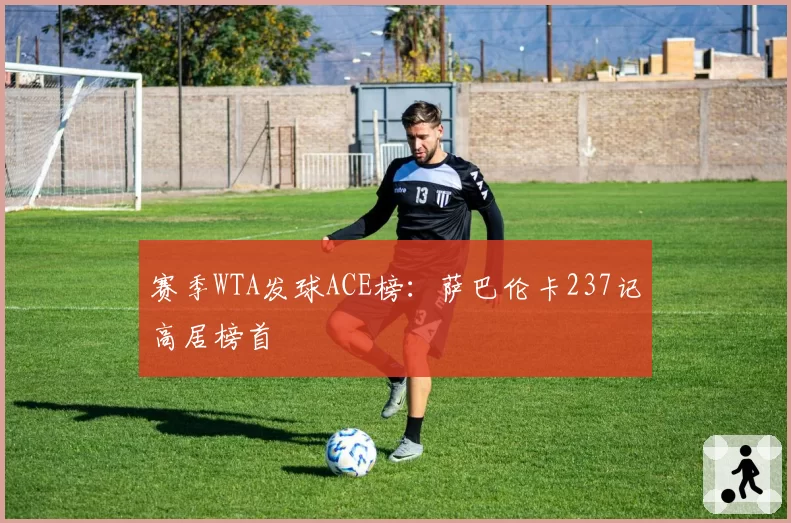赛季WTA发球ACE榜：萨巴伦卡237记高居榜首